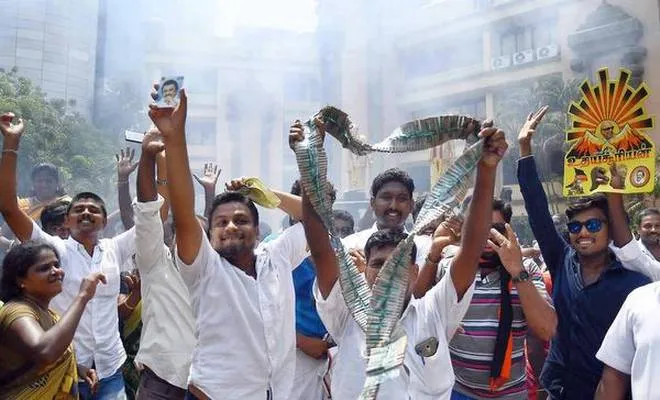 dmk
