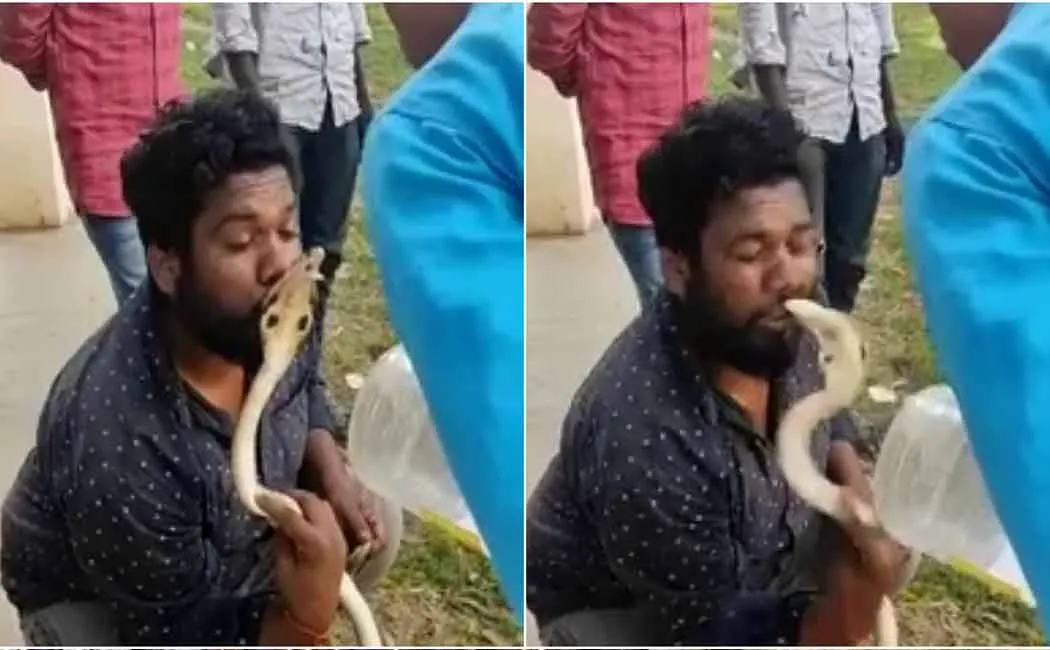 A person who tried to kiss a snake and got bitten on the lip