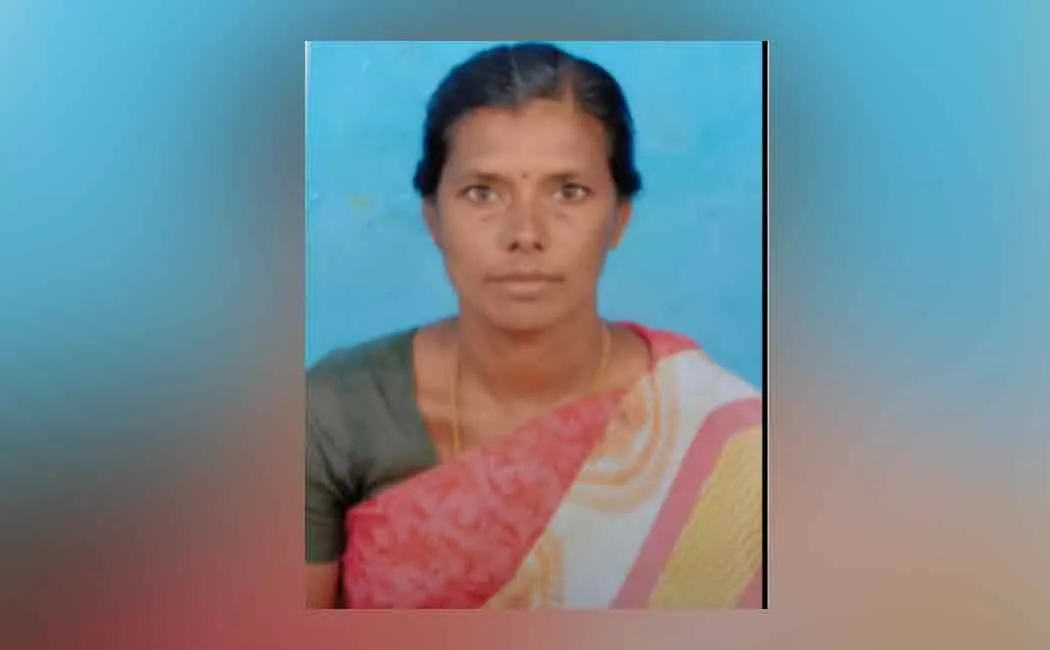 A woman who went to see the farmland in heavy rain; Death by lightning