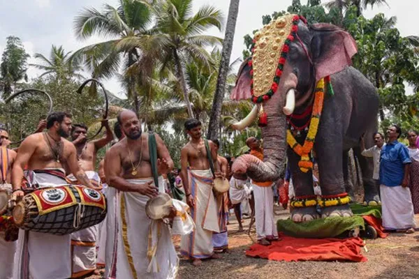 Priyamani donate mechanical elephant to Kerala temple with peta 