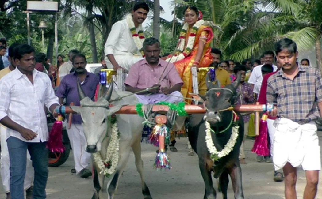 Traditional wedding ceremony