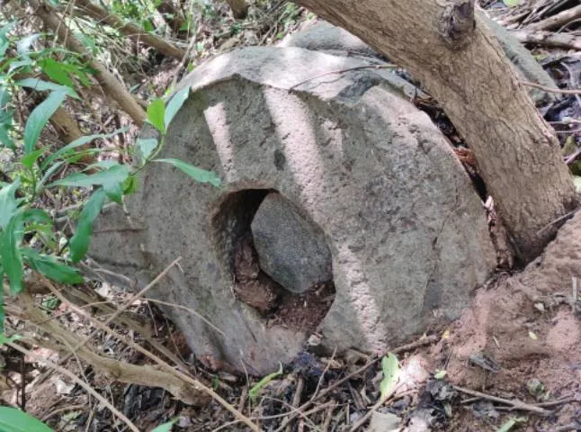 ரதக