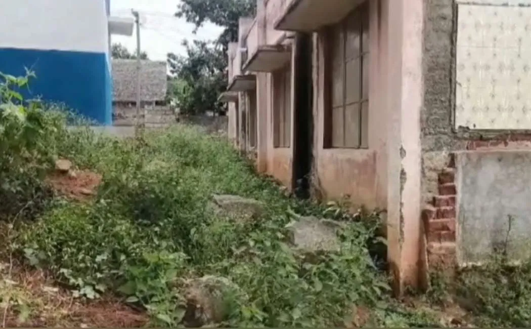 venomous snake entered a government school classroom