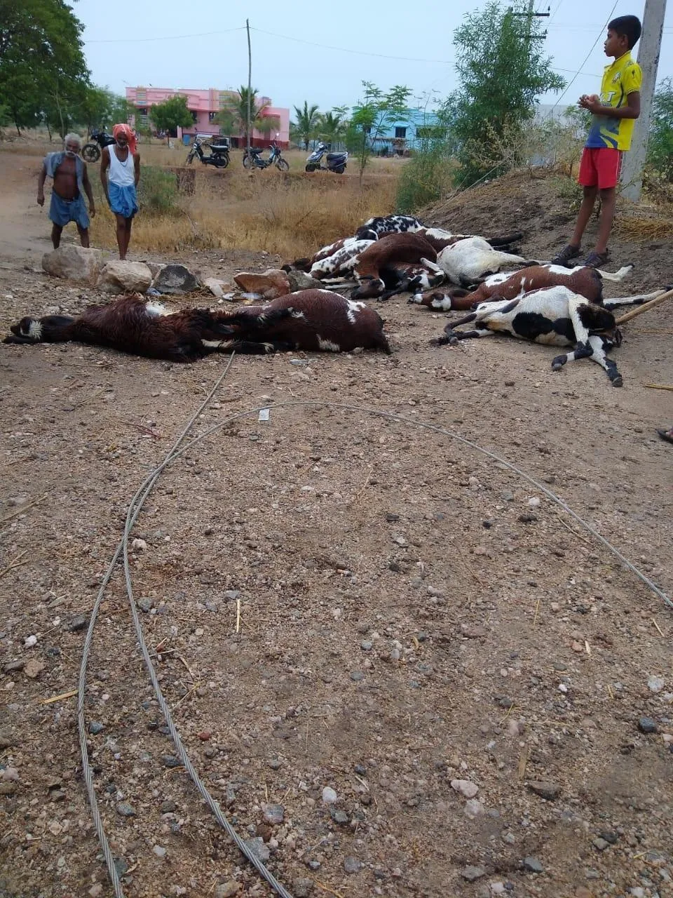  Rain with strong winds all night in nellai 