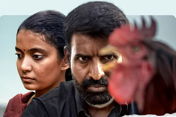 Kottukkaali ott update