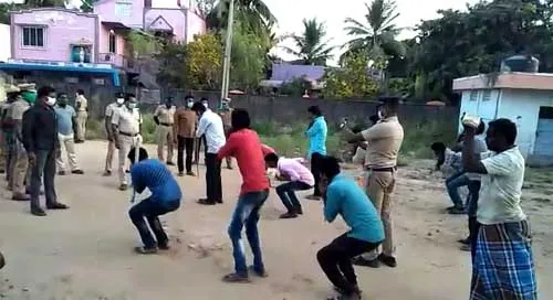  cricket