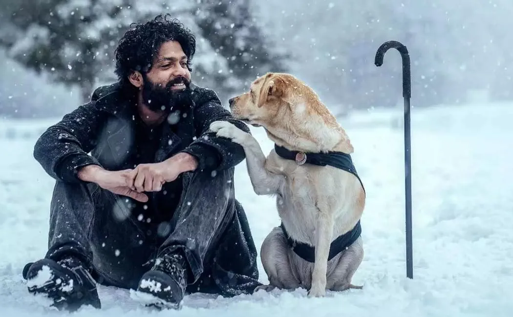 '777 charlie' team released a report regarding 25 days of his movie 