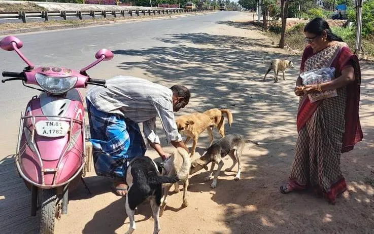Corona virus Impact - street dog Hungry issue - person went up to former minister