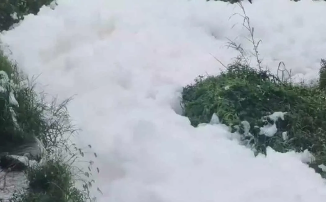 Sewage discharged into the Pala River using heavy rain
