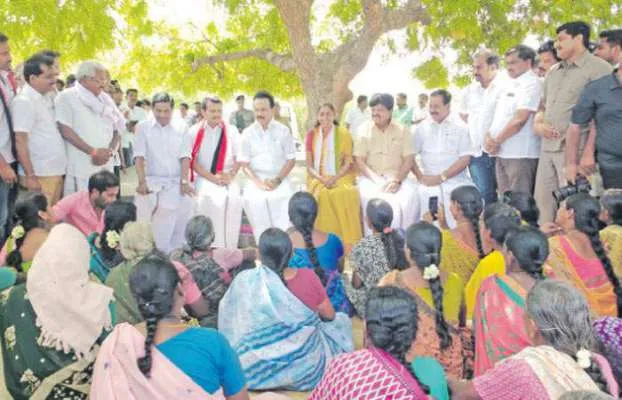 dmk