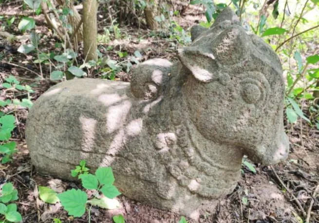 ரக