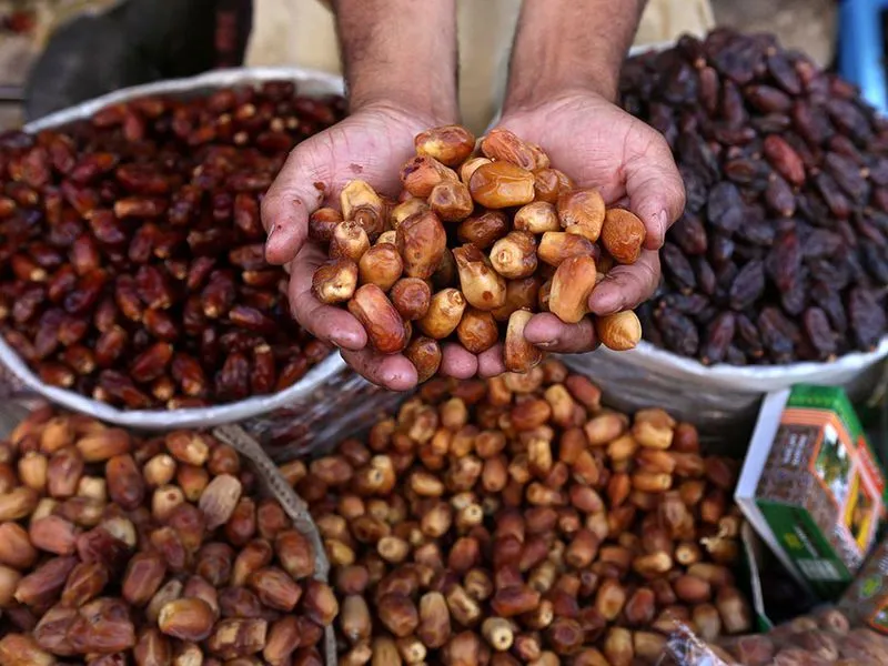  dates 