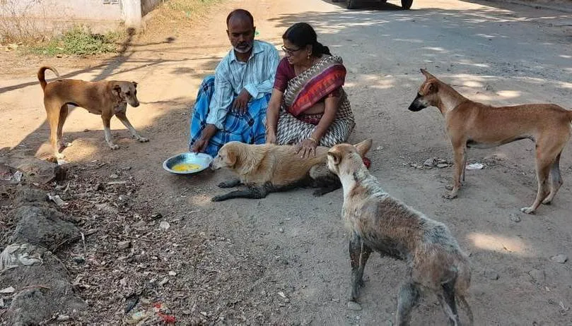 Corona virus Impact - street dog Hungry issue - person went up to former minister