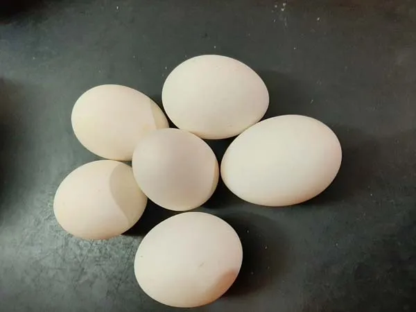  Egg