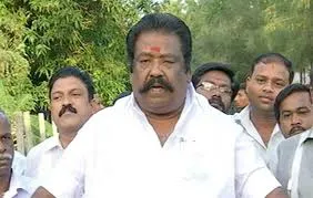mla
