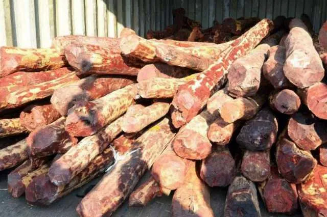  International  Cemmaram sheep smuggling king arrested