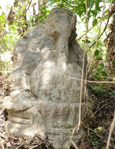 ரக
