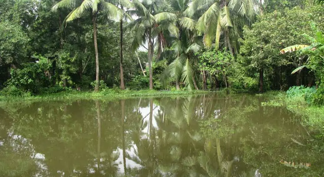 incident in villupuram 
