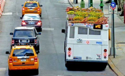 bus