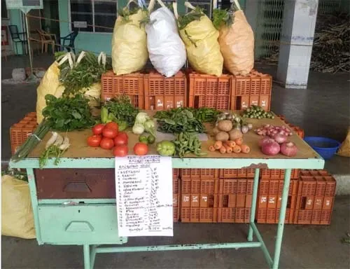 vegetables
