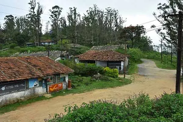Bullet Raja elephant, released into wild, creates a storm  mountains