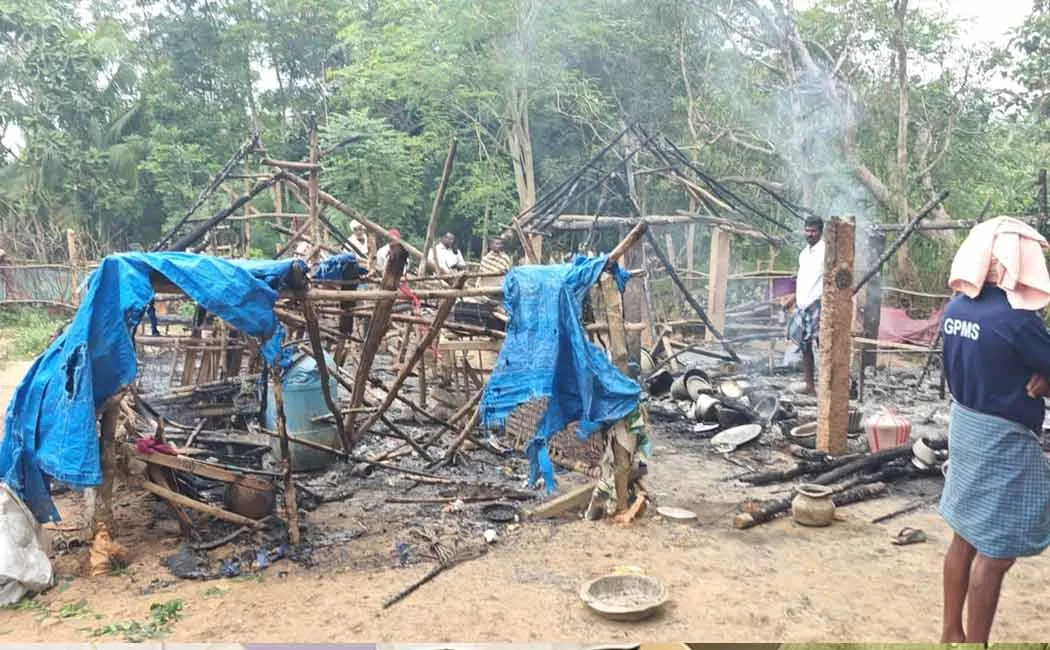 6 goats, 15 chickens lost in accident  