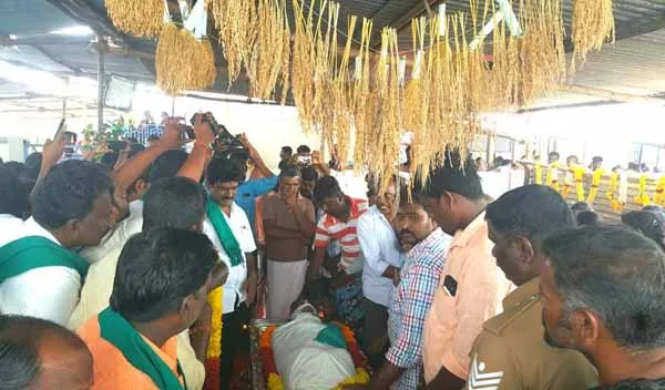 nel jayaraman