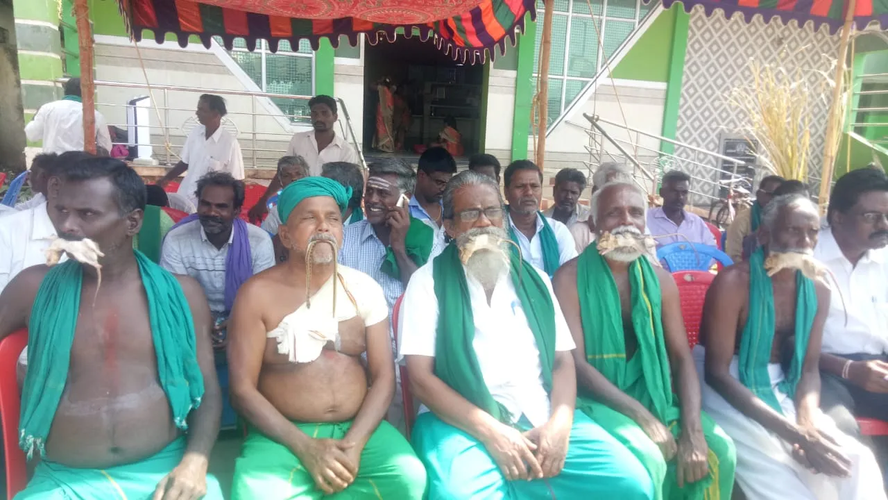  Sugarcane baki - rat, snake bite farmers protest