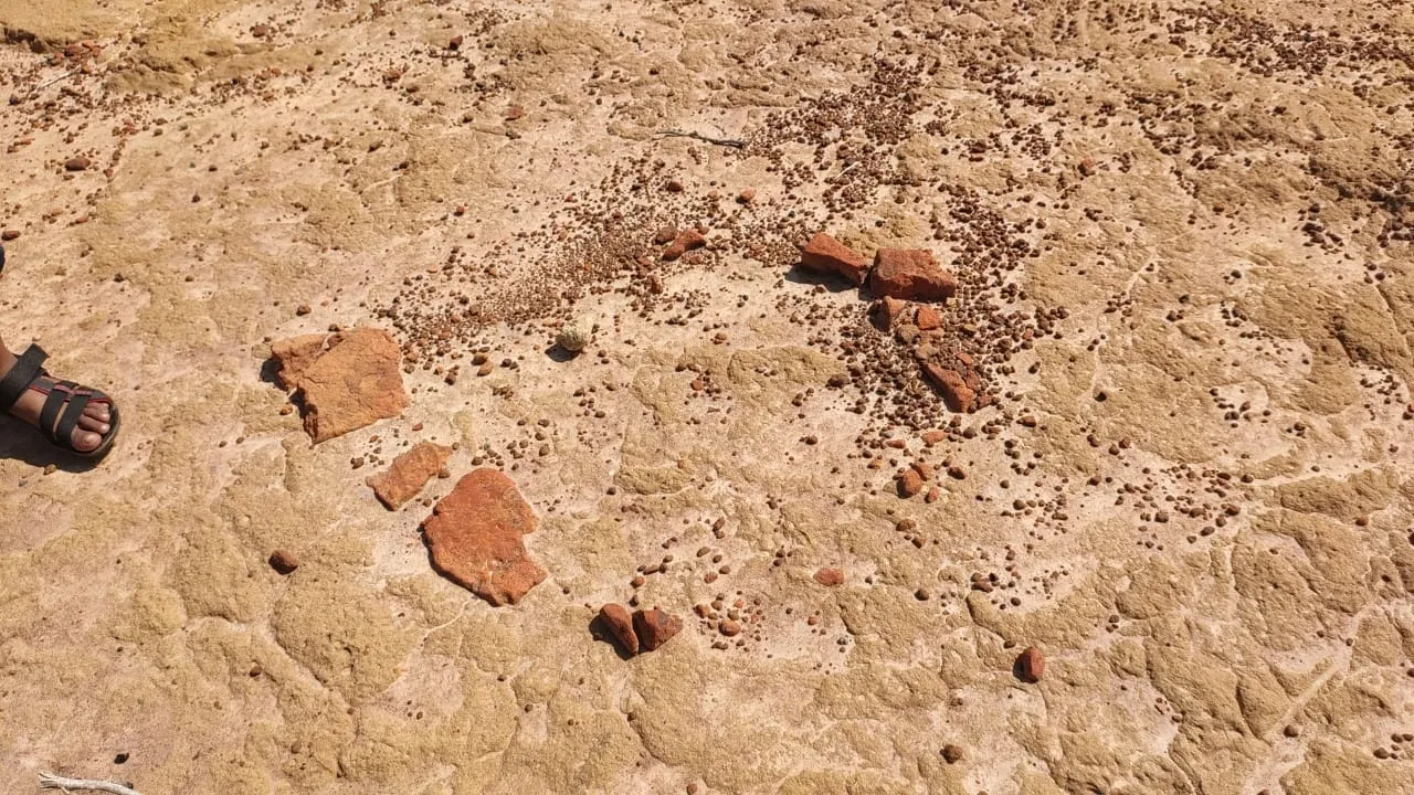  MLA's request for excavation