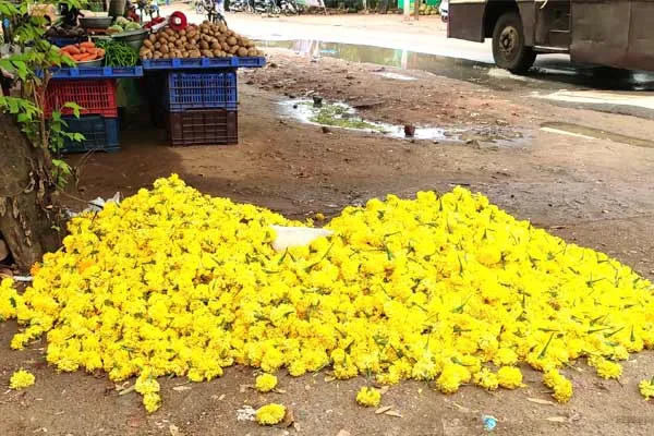 Flowers thrown in the trash in bundles 