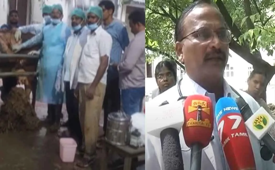 65 kg plastic in stomach of cow in Madurai