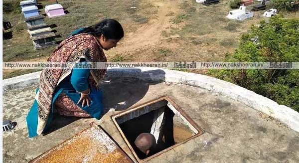 inspection