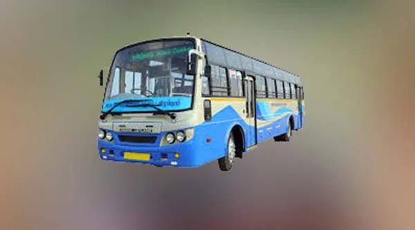 bus