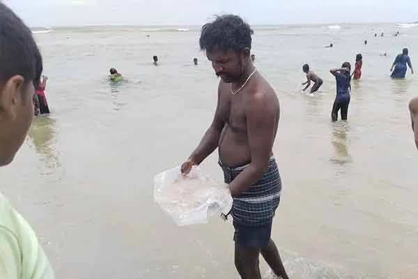 Jellyfish suddenly washed ashore on the Tiruchendur beach