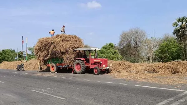 Natural fertilizer
