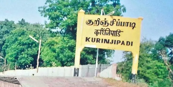 Kurinjipadi 