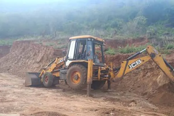Forest officials caught gang that destroyed forests and dug up soil