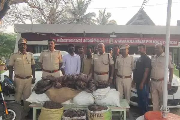 Two arrested for breaking transformer and stealing copper wires