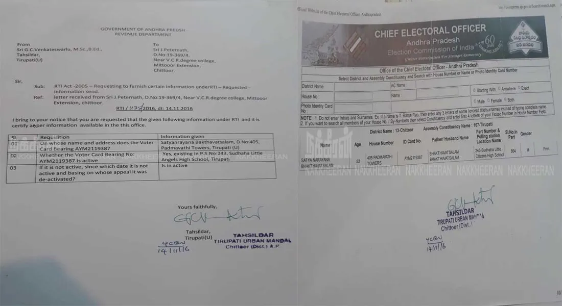 MLA
