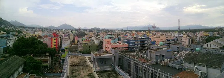  Who is the Vellore constituency Candidate?