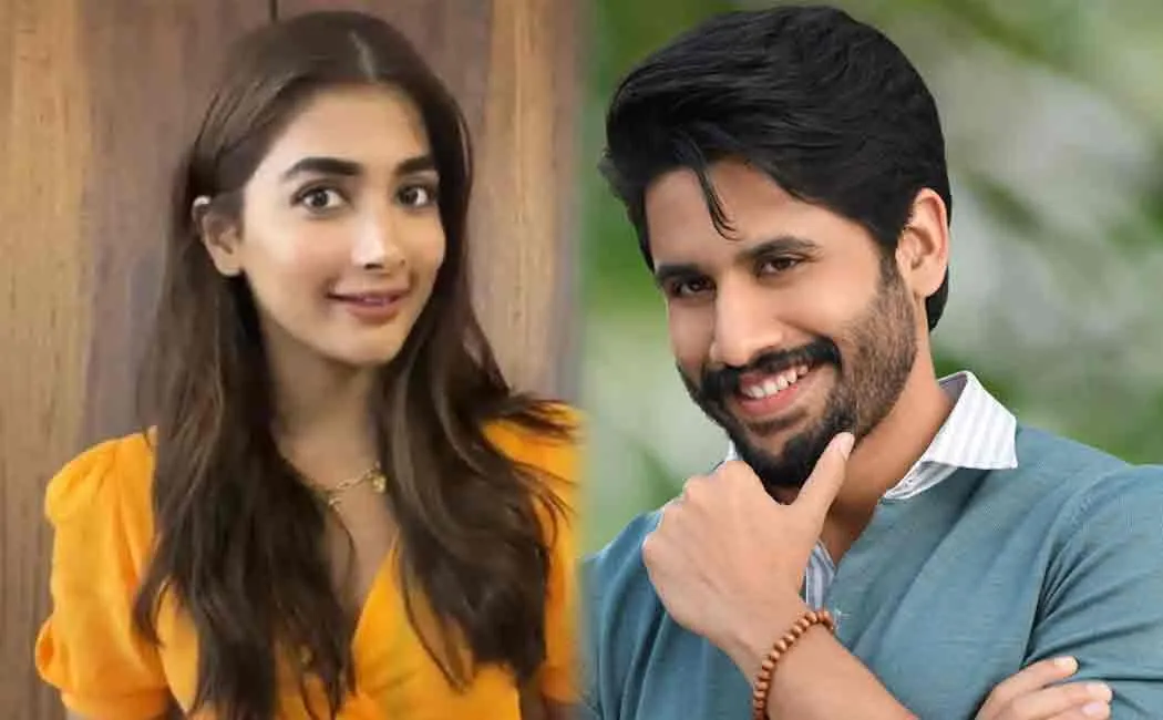 naga chaitanya and pooja hegde play maanaadu film telugu remake 