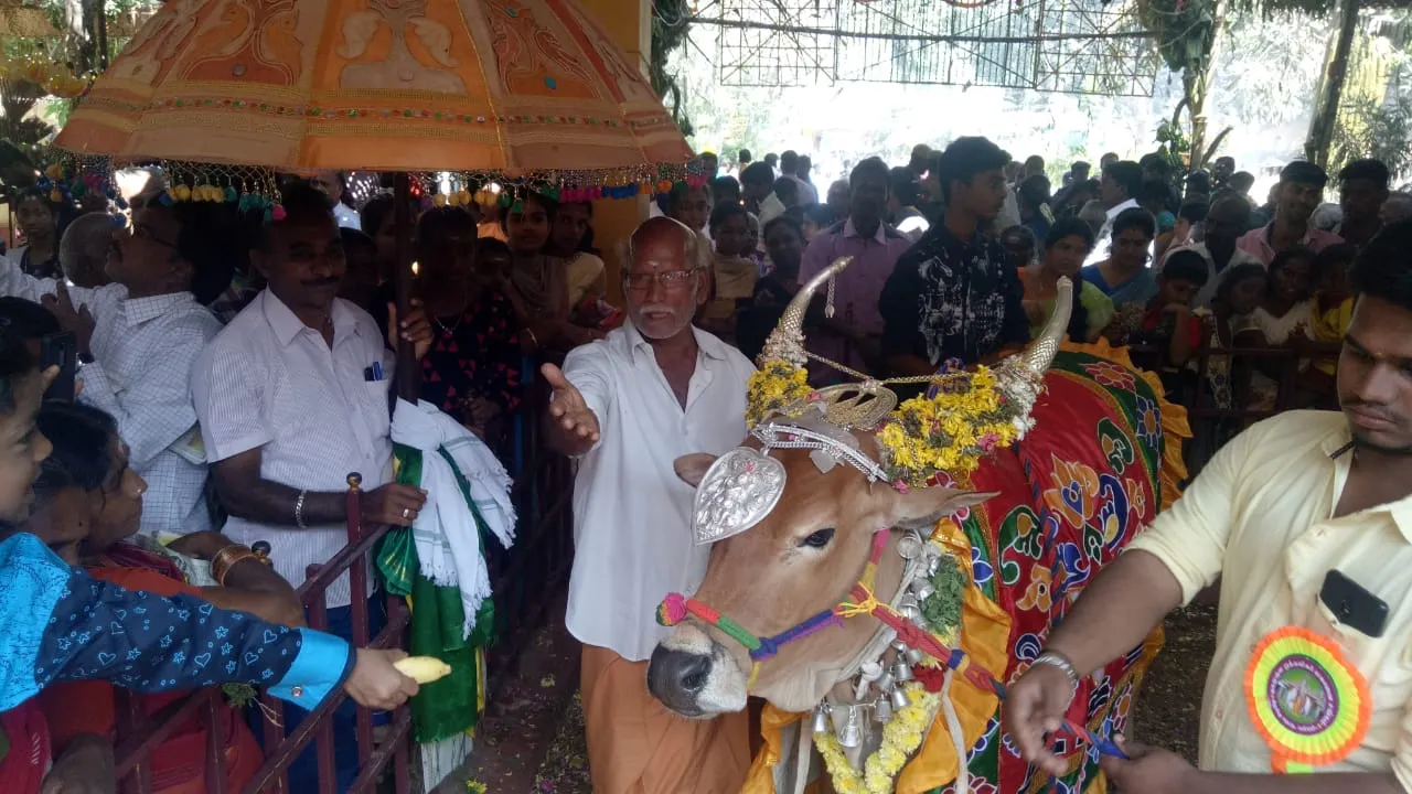  Pongal festivals
