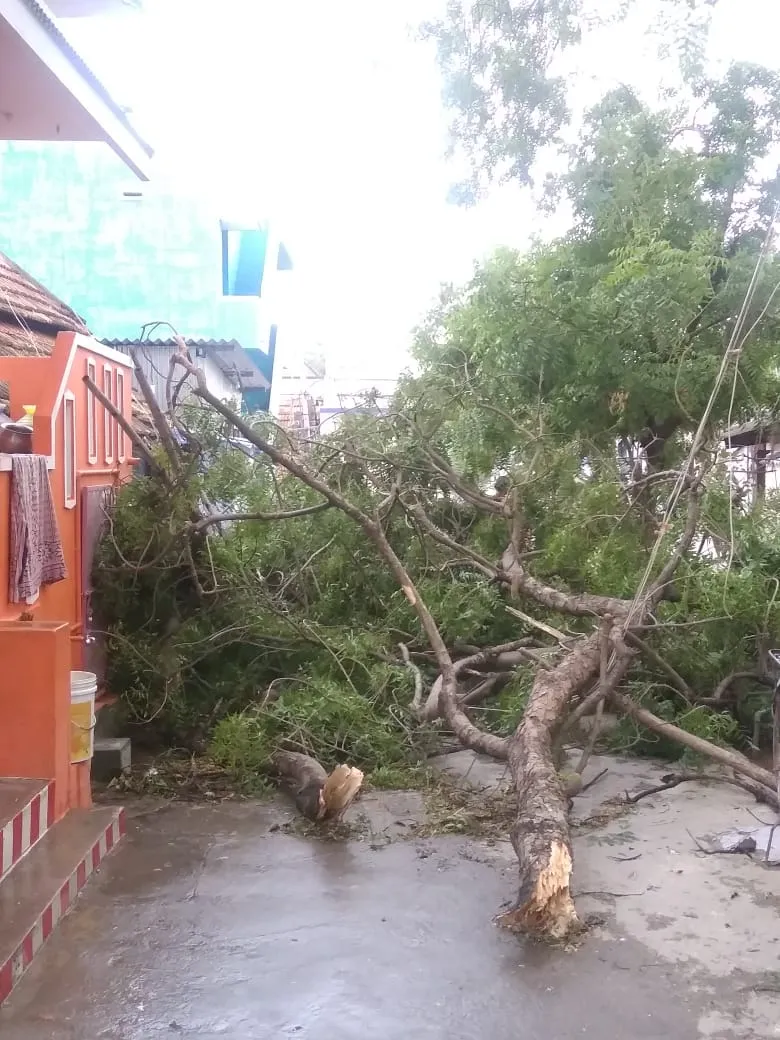  Rain with strong winds all night in nellai 