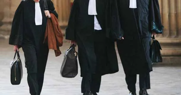 Lawyer