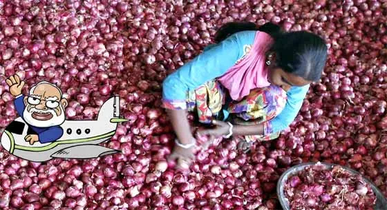 onion