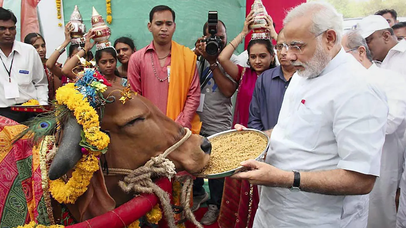 COW