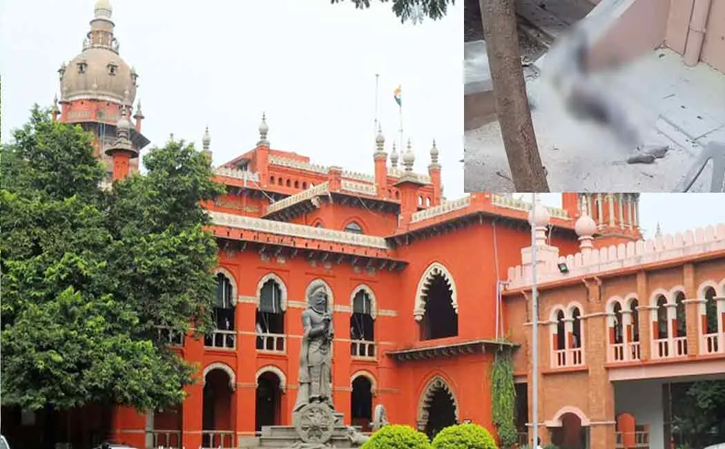 chennai high court incident; tamilnadu govt gives statement to the court
