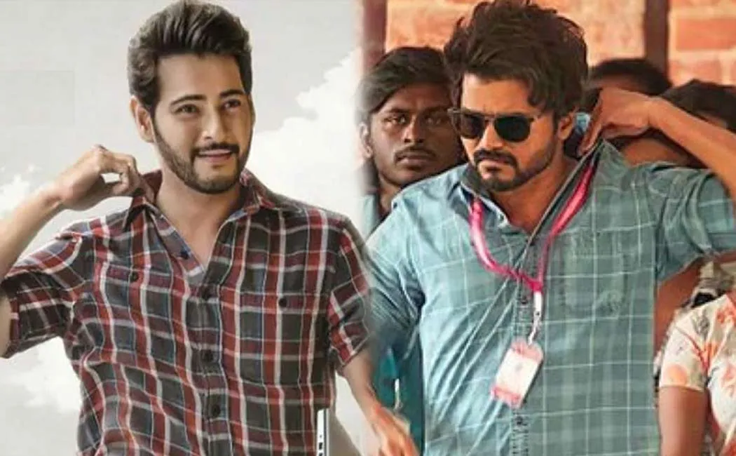 mahesh babu guest role vijay starring thalapathy66 film