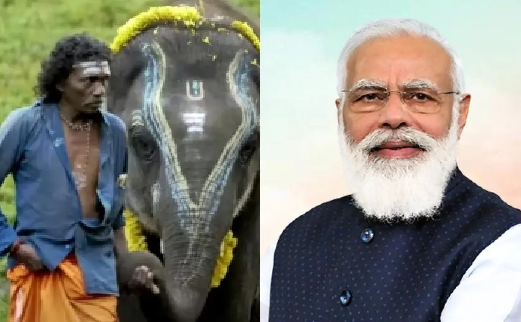 pm modi congrats rrr and The Elephant Whisperers for win oscar award 