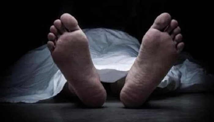  Woman killed in swine flu